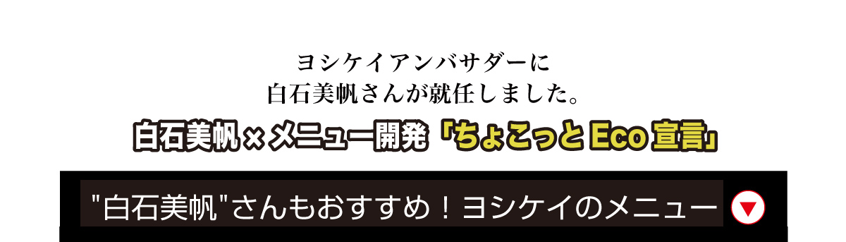 ヨシケイ 動画で見る！ヨシケイのある1日 買い物いらず かんたんCook レシピ付き